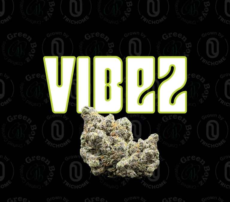 לוגו Vibez